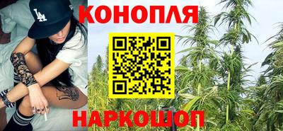 сатива Комсомольск-на-Амуре