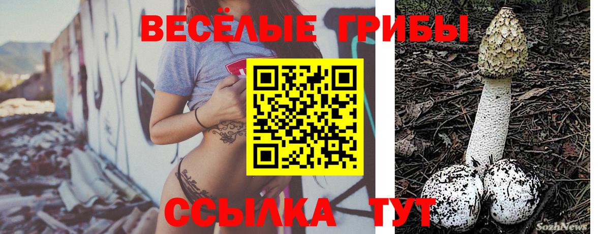 Галлюциногенные грибы ЛСД Заинск